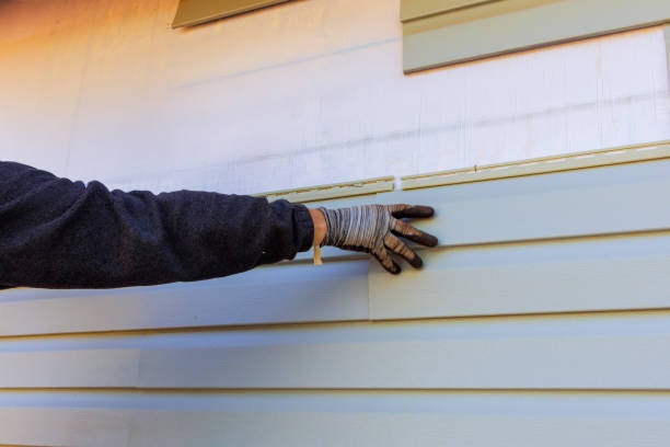 Best Custom Trim and Detailing for Siding  in Tenaha, TX